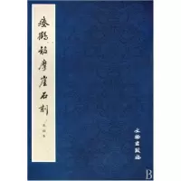 音像瘞鹤铭摩崖石刻(水前本)文物出版社