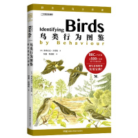 音像鸟类行为图鉴(野外观鸟大师课)