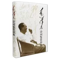 音像毛诗词鉴赏辞典(精)上海辞书出版社文学鉴赏辞典编纂中心