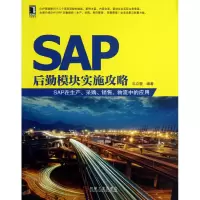 音像SAP后勤模块实施攻略(SAP在生产采购销售物流中的应用)乐立骏