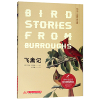 音像飞禽记(博物图鉴版)(美)约翰·巴勒斯|译者:胡慧敏