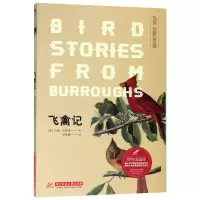 音像飞禽记(博物图鉴版)(美)约翰·巴勒斯|译者:胡慧敏