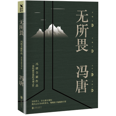 音像无所畏冯唐