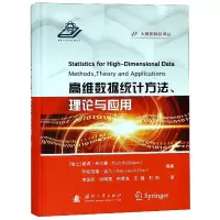 音像高维数据统计方理与应用(精)/大数据科技译丛