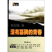 音像没有墓碑的青春/黑土地之歌贾宏图