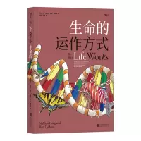 音像生命的运作方式[美]马伦·霍格兰(Mahlon Hoagland)
