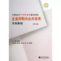 音像企业并购与合并报表实验教程(第2版)张维宾