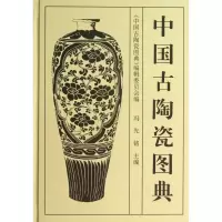 音像中国古陶瓷图典(精)冯先铭