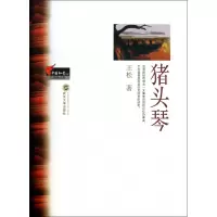 音像猪头琴/中国知青文库王松