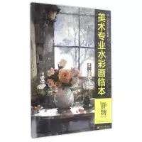 音像静物/美术专业水彩画临本编者:肖亚平