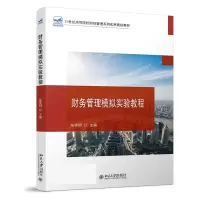 音像财务管理模拟实验教程张英明