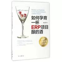 音像如何孕育一杯ERP项目酿的酒陈晋贤