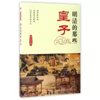 音像明清的那些皇子/故纸堆系列高云凌