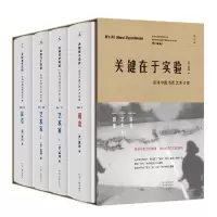 音像关键在于实验:巫鸿中国当代艺术文集(美)巫鸿