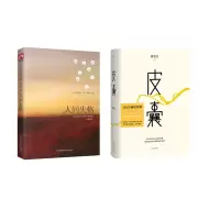 音像人间失格+皮囊共2册蔡崇达