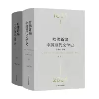 音像哈新编中国现代文学史王德威