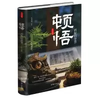 音像顿悟(洒脱的智慧)(精)吴国明