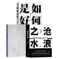 音像沧浪之水+活着之上+如何是好共3册阎真|责编:袁甲平
