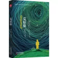 音像荒原狼赫尔曼·黑塞