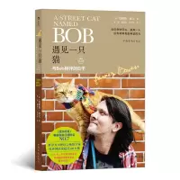 音像遇见一只猫[英]詹姆斯?波文