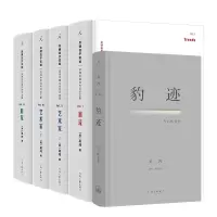 音像关键在于实验+豹迹共5册(美)巫鸿|责编:苗苏以