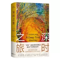 音像深时之旅罗伯特•麦克著,王如菲 译