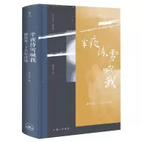 音像半夜待雪喊我:廖伟棠二十五年诗选廖伟棠