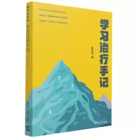 音像学习治疗手记宋少卫 著