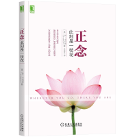 音像正念:此刻是一枝花乔·卡巴金