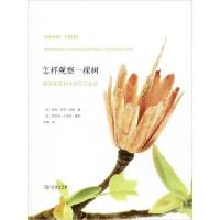 音像怎样观察一棵树(探寻常见树木的非凡秘密)(精)南茜·罗斯·胡格
