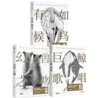 音像周晓枫作品共3册周晓枫