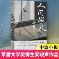 音像人间烟火梁晓声