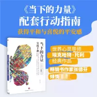 音像当下的力量实践手册(白金版)(德)埃克哈特·托利