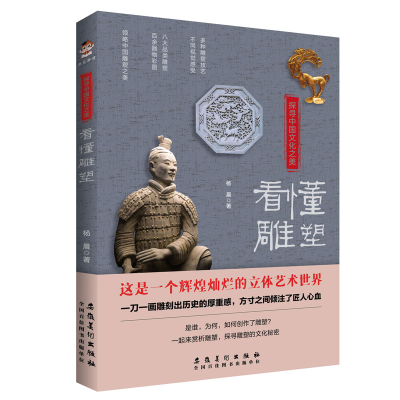 音像探寻中国文化之美:看懂雕塑杨晨著