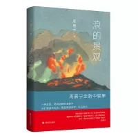 音像浪的景观周嘉宁 著