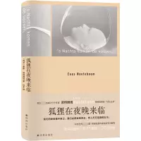 音像狐狸在夜晚来临(精)[荷兰]塞斯·诺特博姆著,杜冬 译