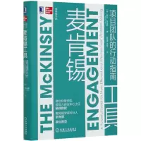 音像麦肯锡工具(项目团队的行动指南)(精)保罗·弗里嘉