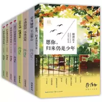 音像林清玄作品集全8册林清玄