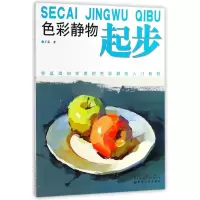 音像色彩静物起步王磊