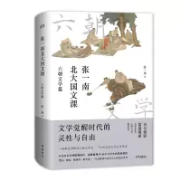 音像张一南北大国文课:六朝文学篇张一南