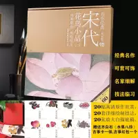 音像名作经典—宋代花鸟小品(一)李晓明
