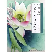 音像工笔荷花快速入门/一周一画姜冬莲黄蓉