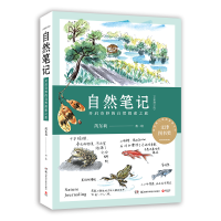 音像自然笔记:开启奇妙的自然探索之旅(全新增订版)芮东莉 著