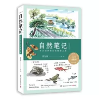 音像自然笔记:开启奇妙的自然探索之旅(全新增订版)芮东莉 著