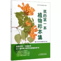 音像我的本植物标本集(精)青少年科学蒲公英工作室