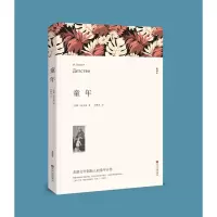 音像童年(文联平装全译本)高尔基
