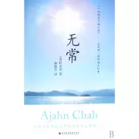 音像无常阿姜查