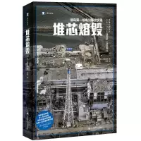 音像堆芯熔毁 (译文纪实)(日)大鹿靖明