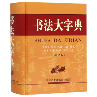音像书法大字典(缩印本)(精)《书法大字典》编委会编