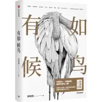 音像有如候鸟周晓枫